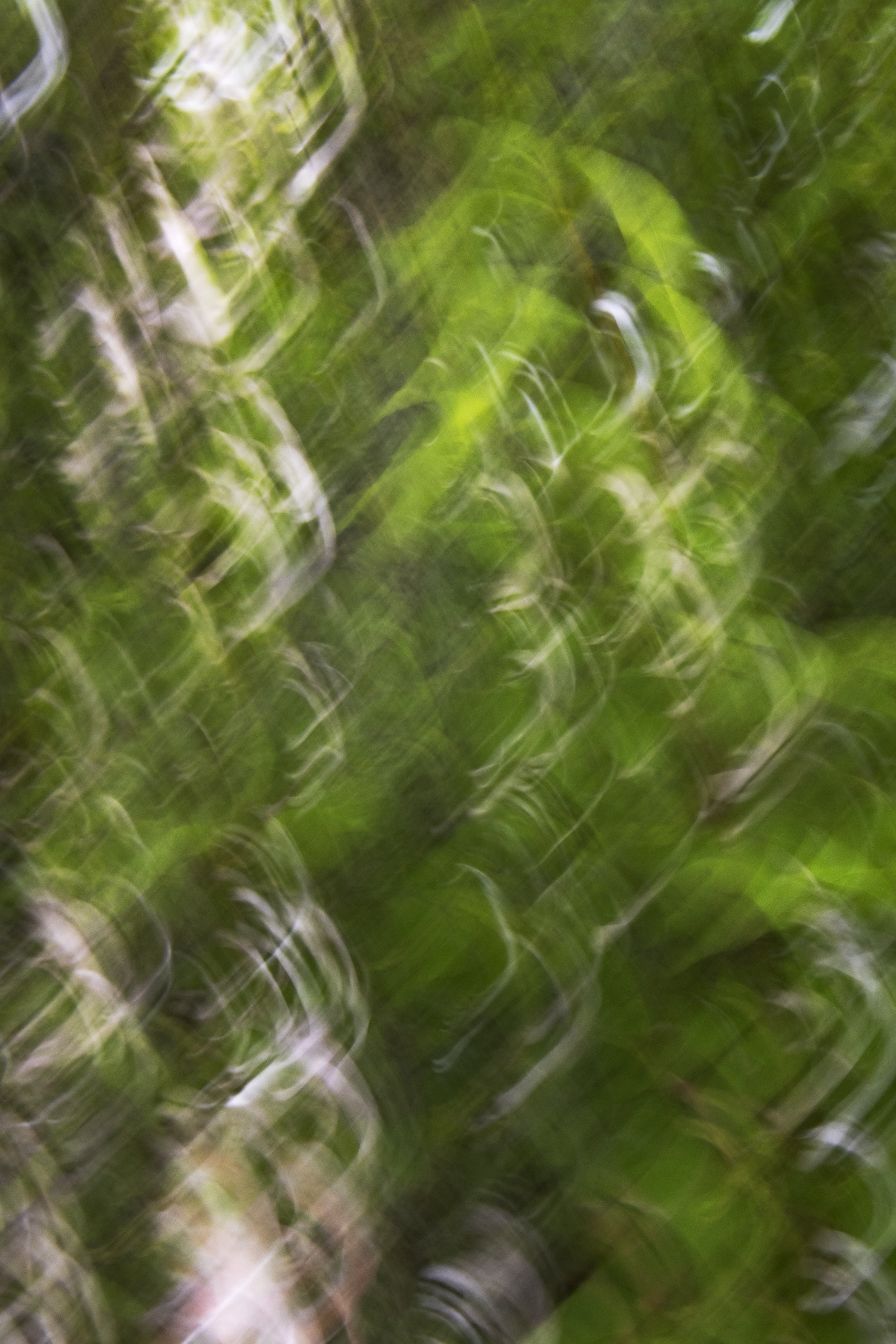 ART-332S_Dancing-Spring_Lackovic-Grace_12_Output copy.jpeg