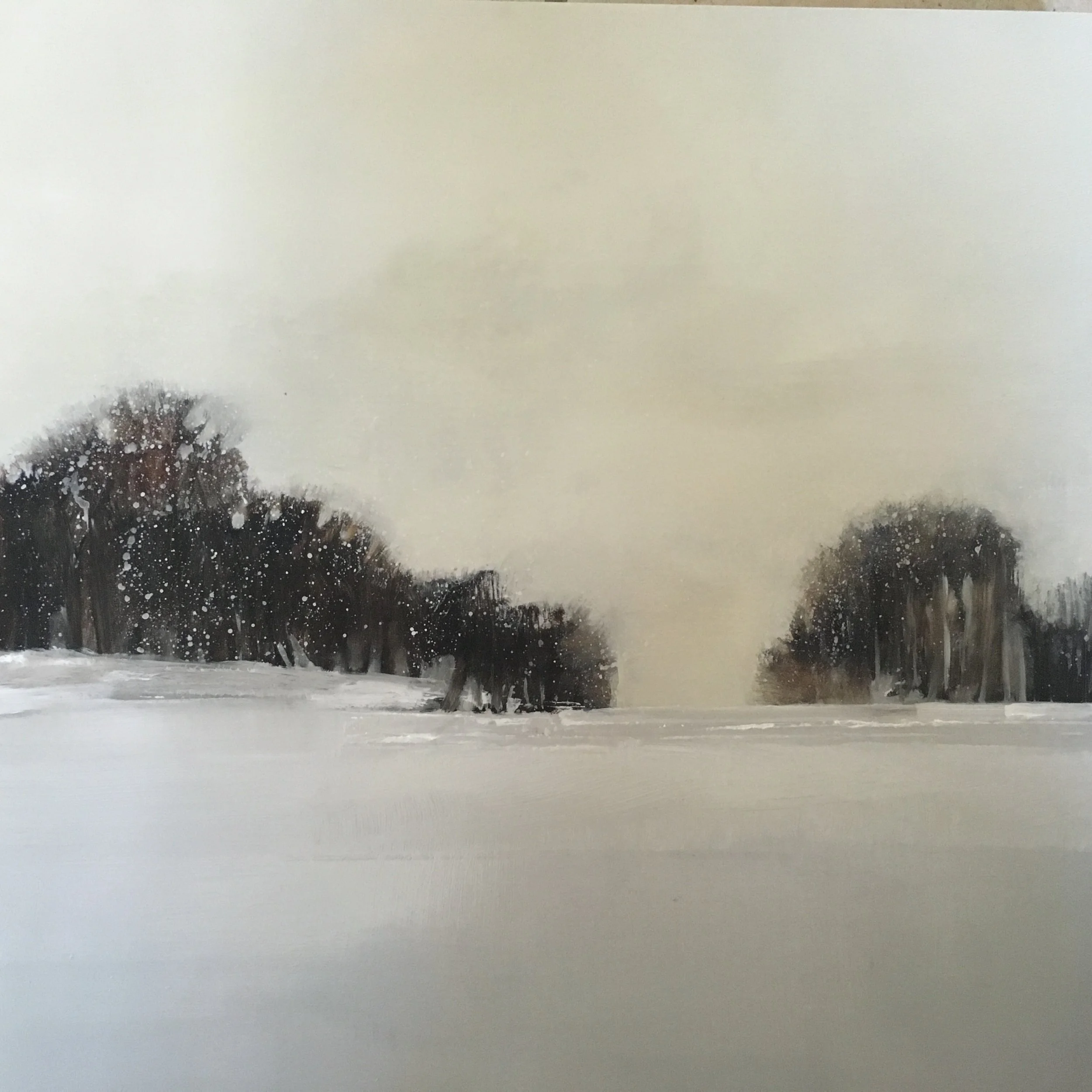 Snow-covered landscape with a line of dark leafless trees in the distance and snow dripping down the window creating blurry streaks.