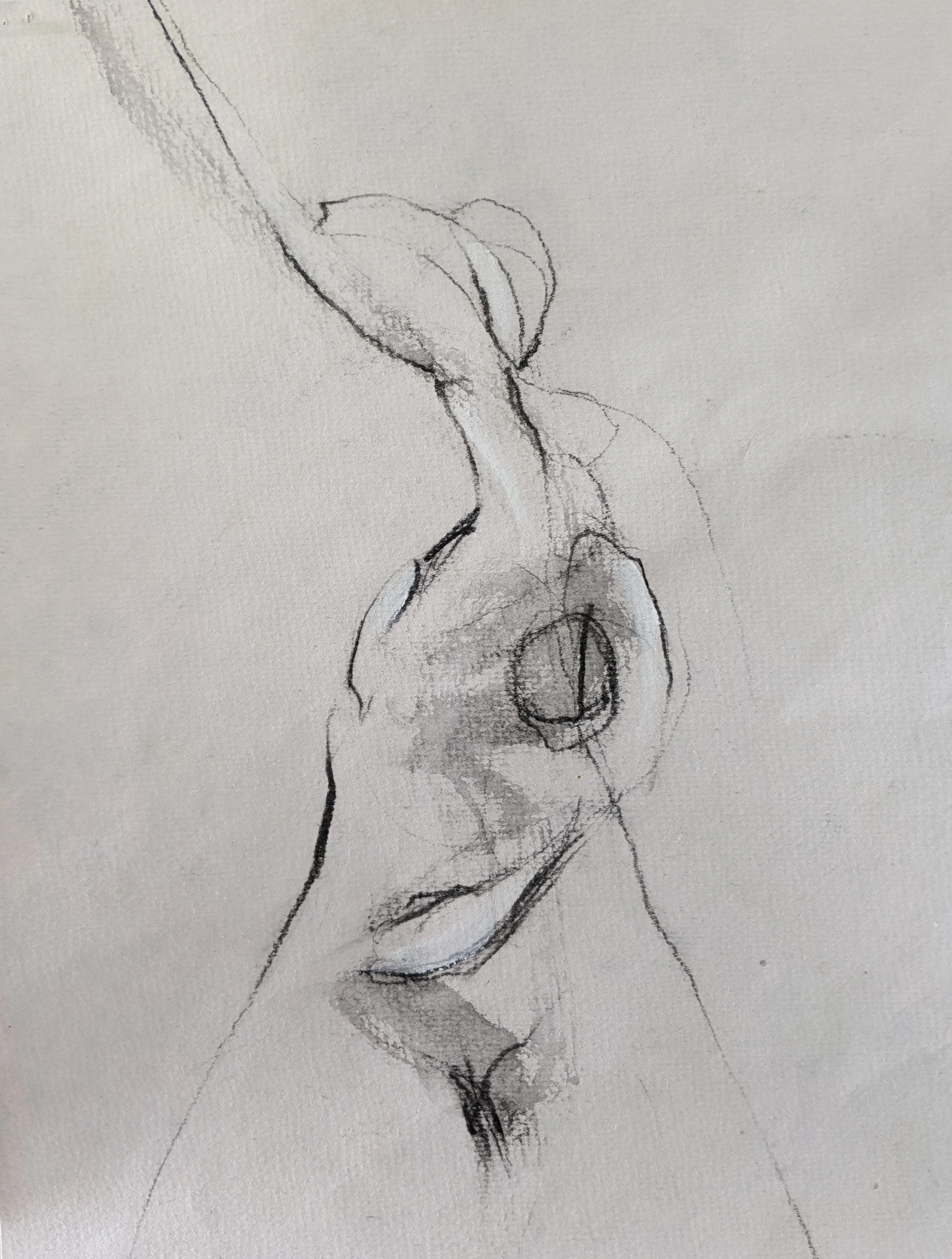 A pencil sketch of a woman's torso and breast, with some shading and outline details.