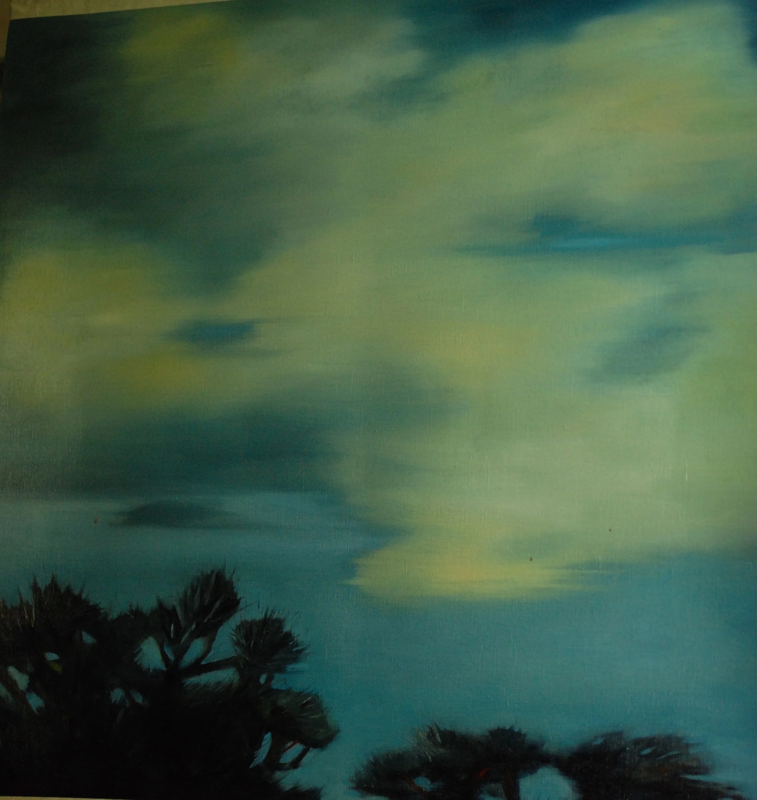 Dark silhouettes of trees in the foreground with a cloudy sky in hues of blue, green, and yellow at dusk or dawn.
