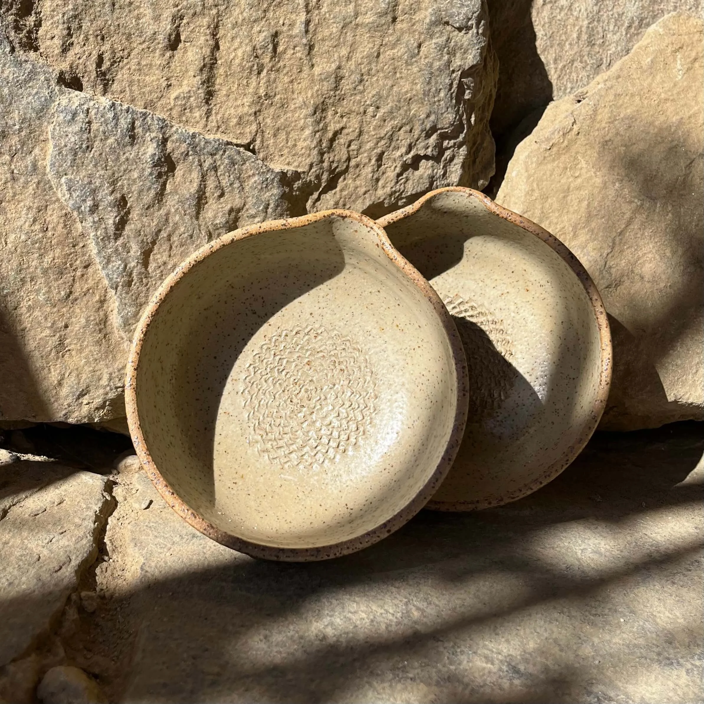 Darc solis garlic in sand 2.jpeg