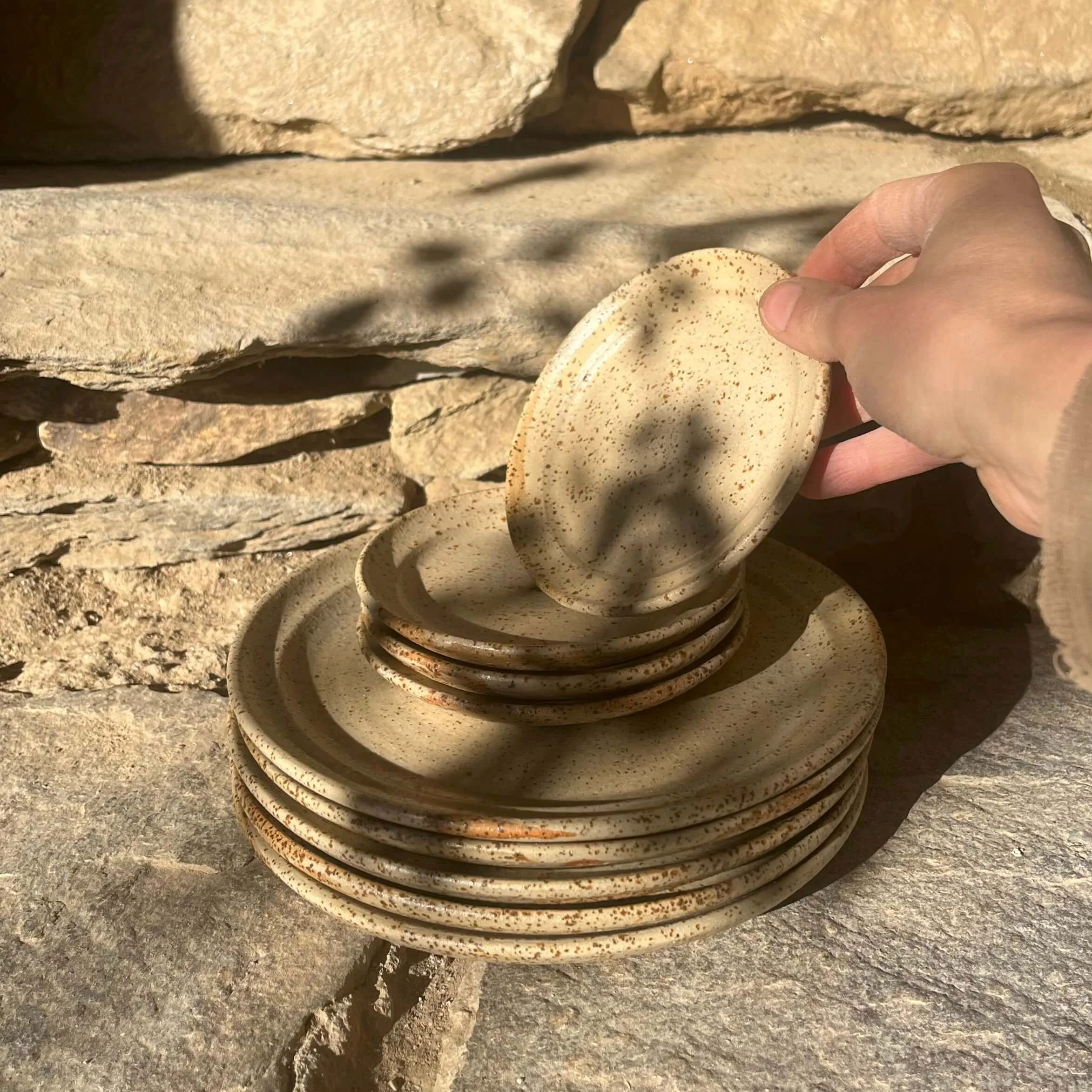 Darc sway bf plate tiger 4.jpeg