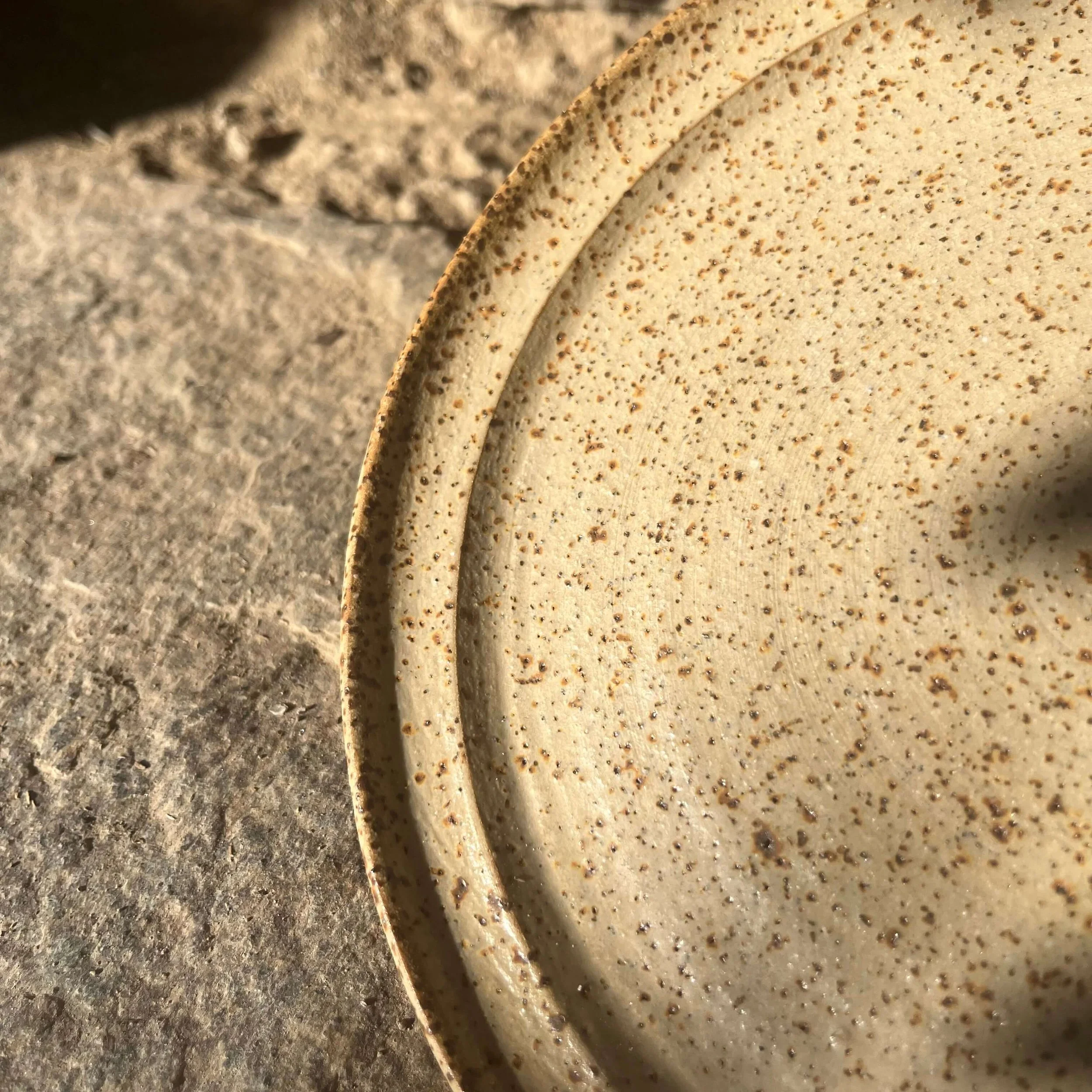 Darc sway plate bf tiger 1.jpeg