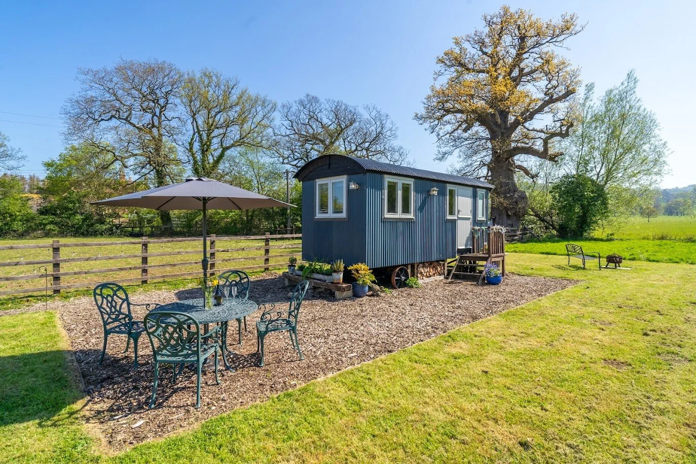 A small blue shed with white window frames in a grassy backyard, surrounded by trees. There is a patio with a round metal table, four matching chairs, and a large umbrella. A wooden fence borders the backyard, and some outdoor furniture and potted pl