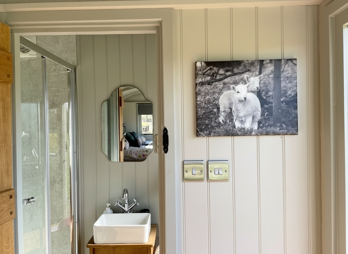 Interior of a home showing a bathroom area with a small sink, mirror, and soap dispenser. A black and white photo of three baby lambs is hanging on the wall to the right.