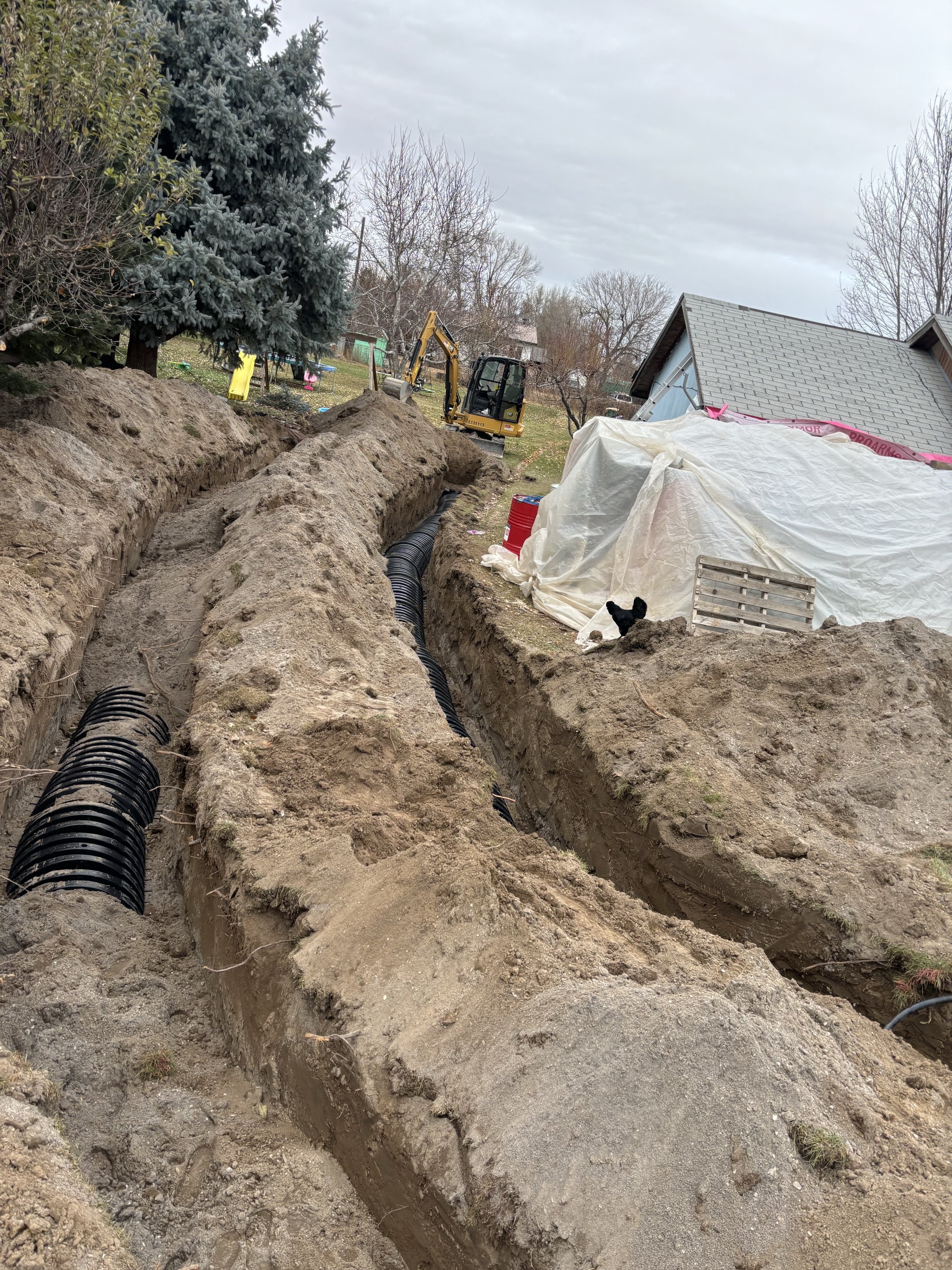 A septic drain field construction site showing a trench with black corrugated pipes installed along its length, with an excavator in the background, surrounded by dirt, trees, and a partially covered structure with white tarp.