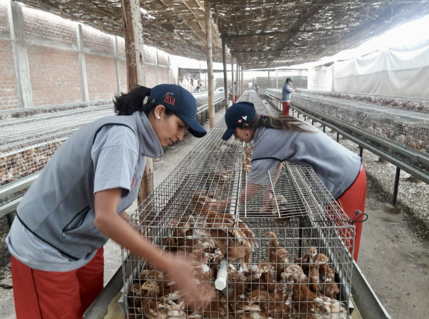 Lo que aprendimos después de casi 400 auditorías de vacunación