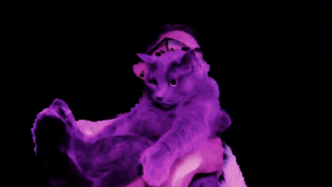 Cat with purple lighting, lying down with its paws crossed.