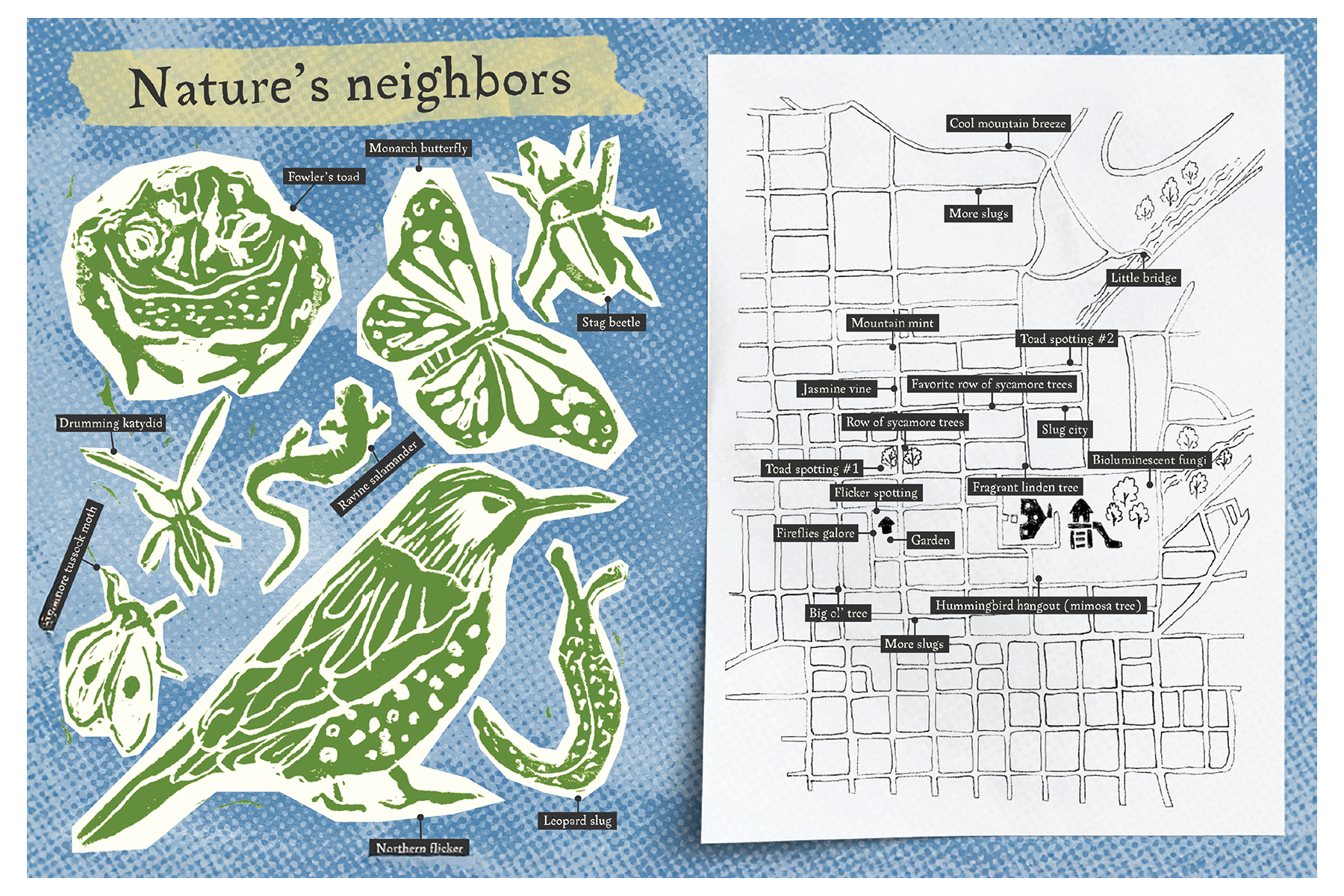 Green block prints of local wildlife including a toad, butterfly, beetle, katydid, flicker, and slug, and a hand-drawn neighborhood map with tags noting wildlife sightings and natural features.