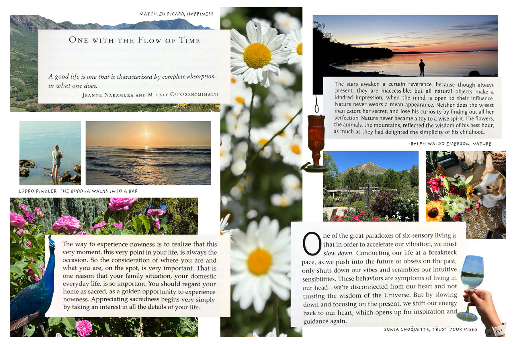 A collage of nature photos—oceans, mountains, flowers, a peacock, and a person by a lake—paired with brief reflections on presence, slowing down, and appreciating everyday life.