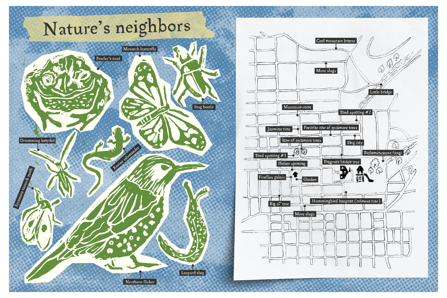 Green block prints of local wildlife including a toad, butterfly, beetle, katydid, flicker, and slug, and a hand-drawn neighborhood map with tags noting wildlife sightings and natural features.