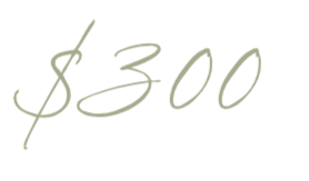 Handwritten text displaying a price of $300.