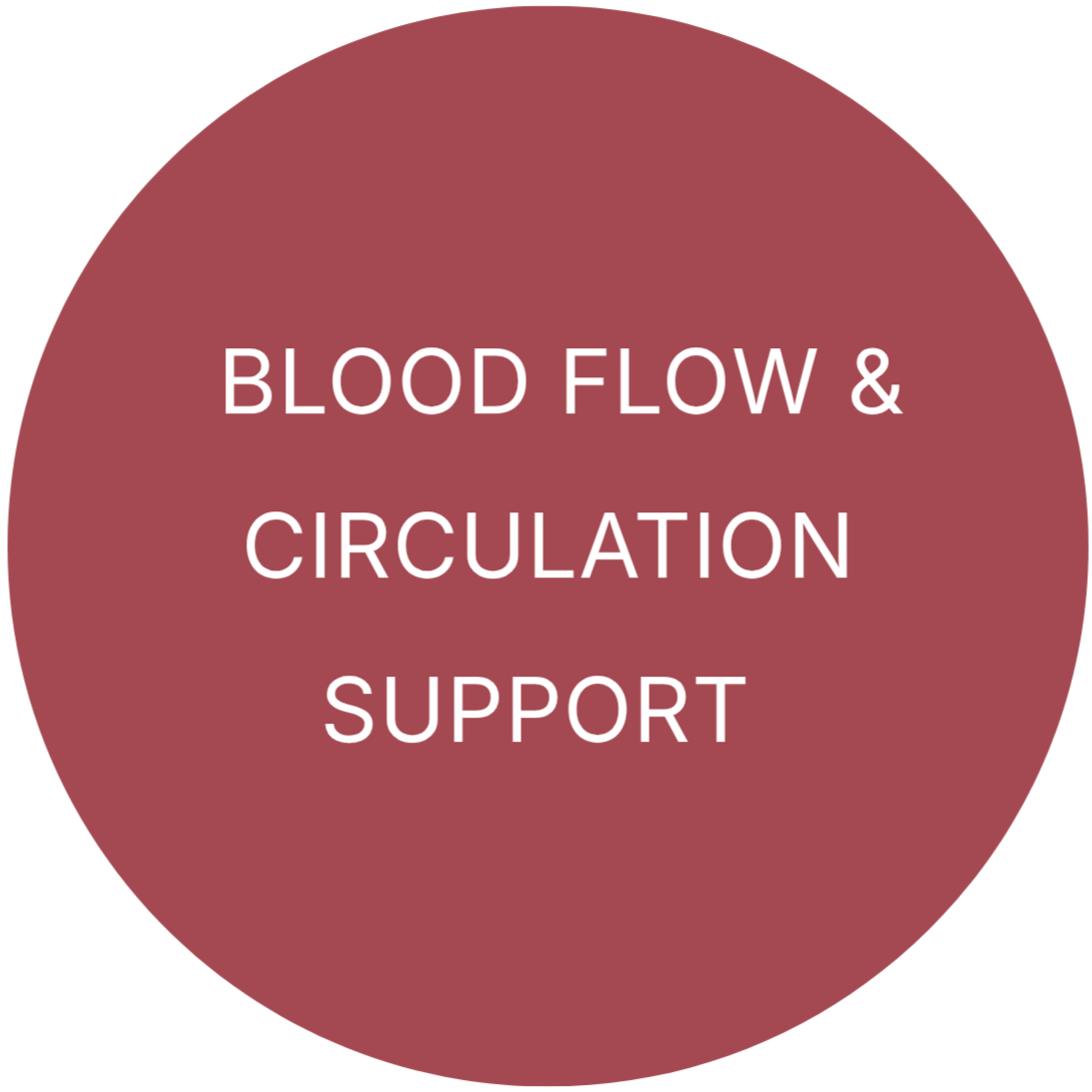 A circular graphic with the words 'Blood Flow & Circulation Support' in white on a maroon background.