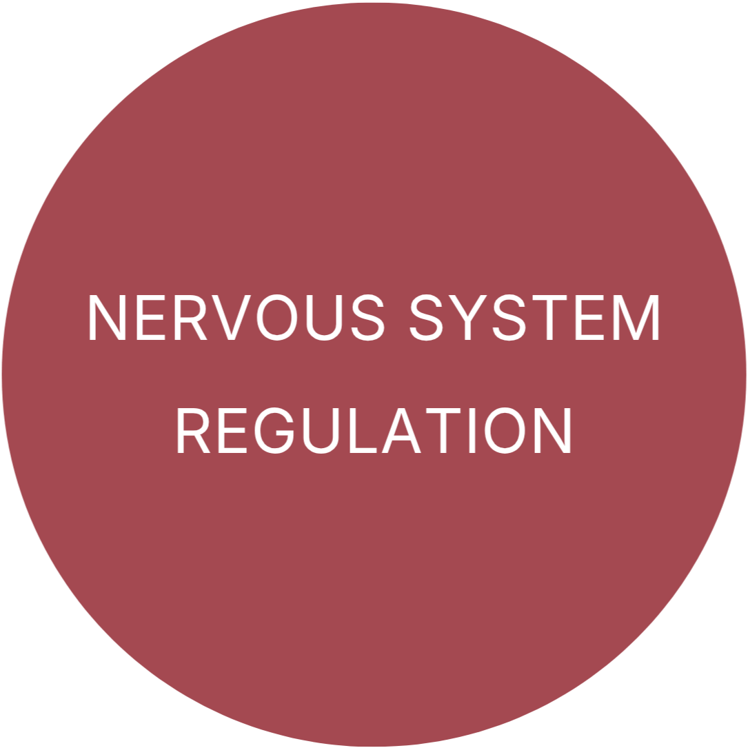 Red circle with white text that says 'Nervous System Regulation'.