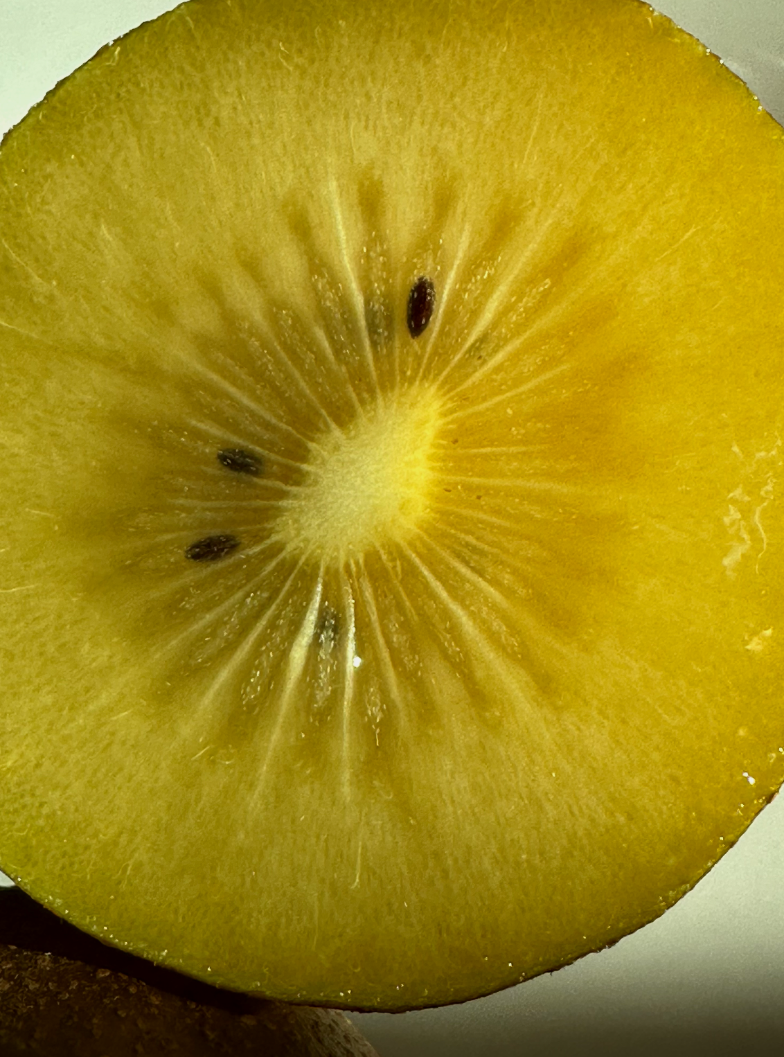 A close-up photo of a sliced ripe yellow kiwi fruit showing its flesh and small black seeds.