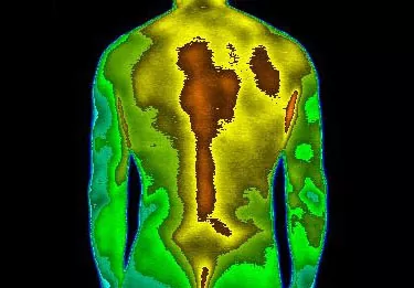 Thermal image of a human torso showing temperature variations with darker areas indicating cooler temperatures and lighter areas indicating warmer temperatures.