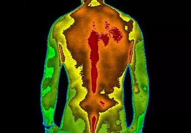 Thermal imaging scan of a human torso showing heat distribution with red and orange areas indicating higher temperature, and green and yellow areas indicating lower temperature.
