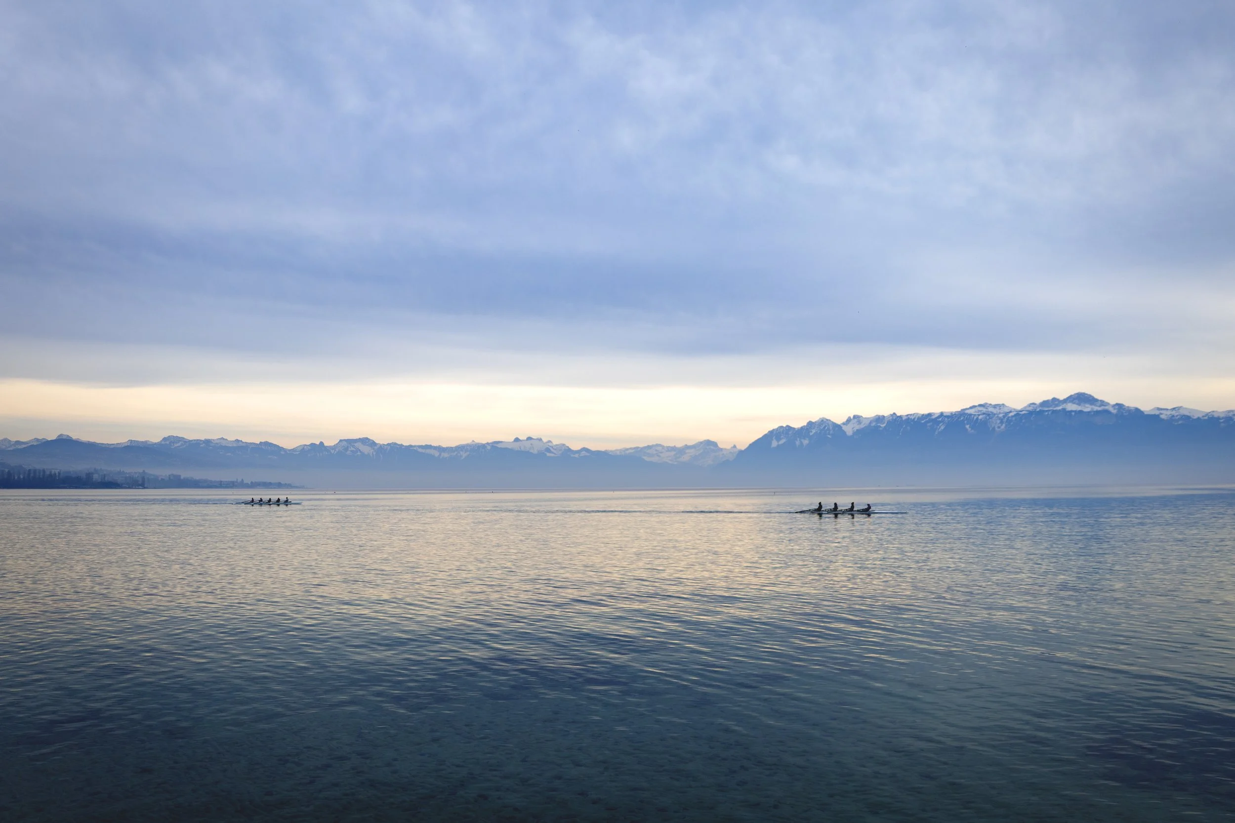 IMG_1515 copy.jpg