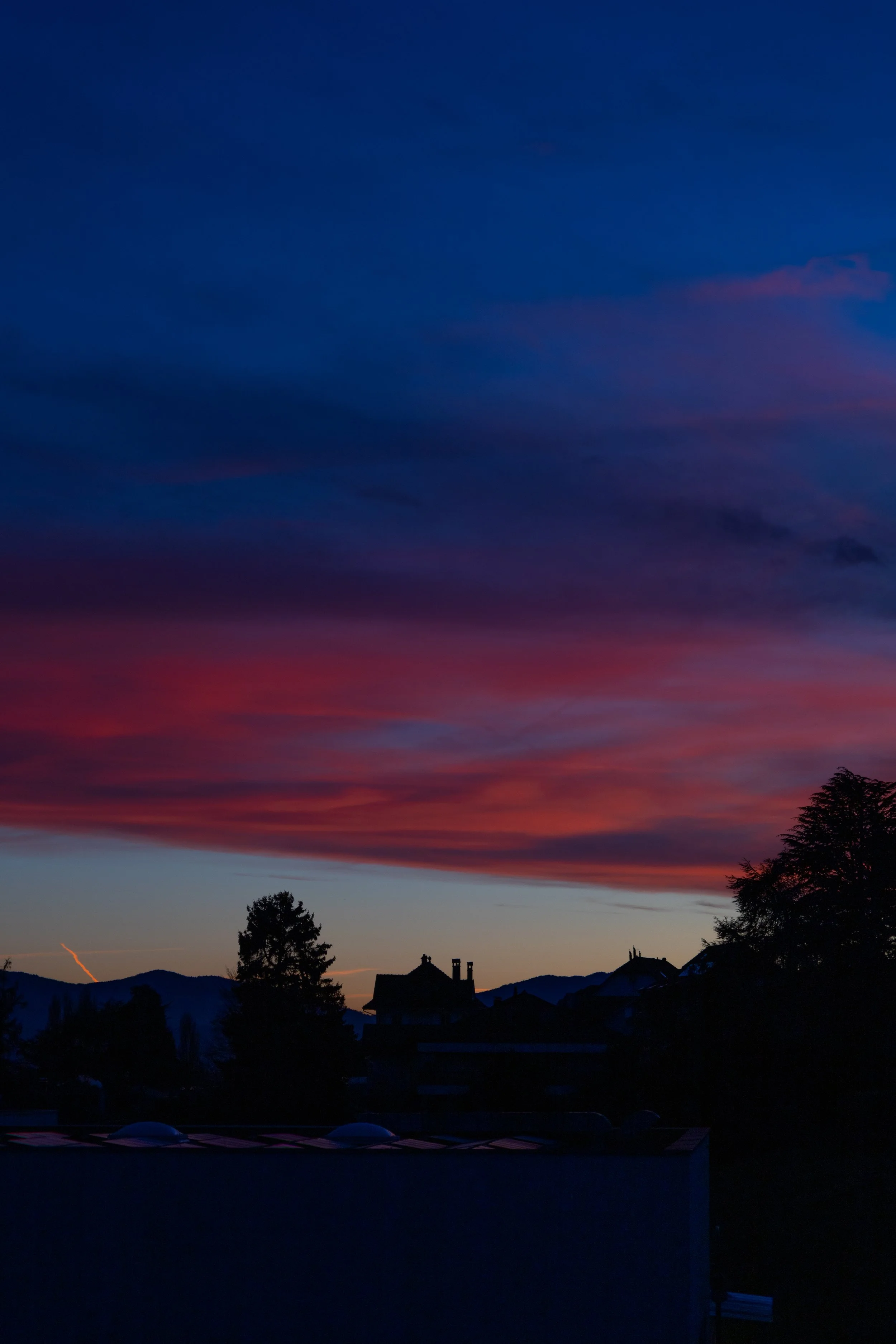 IMG_1978-2.jpg