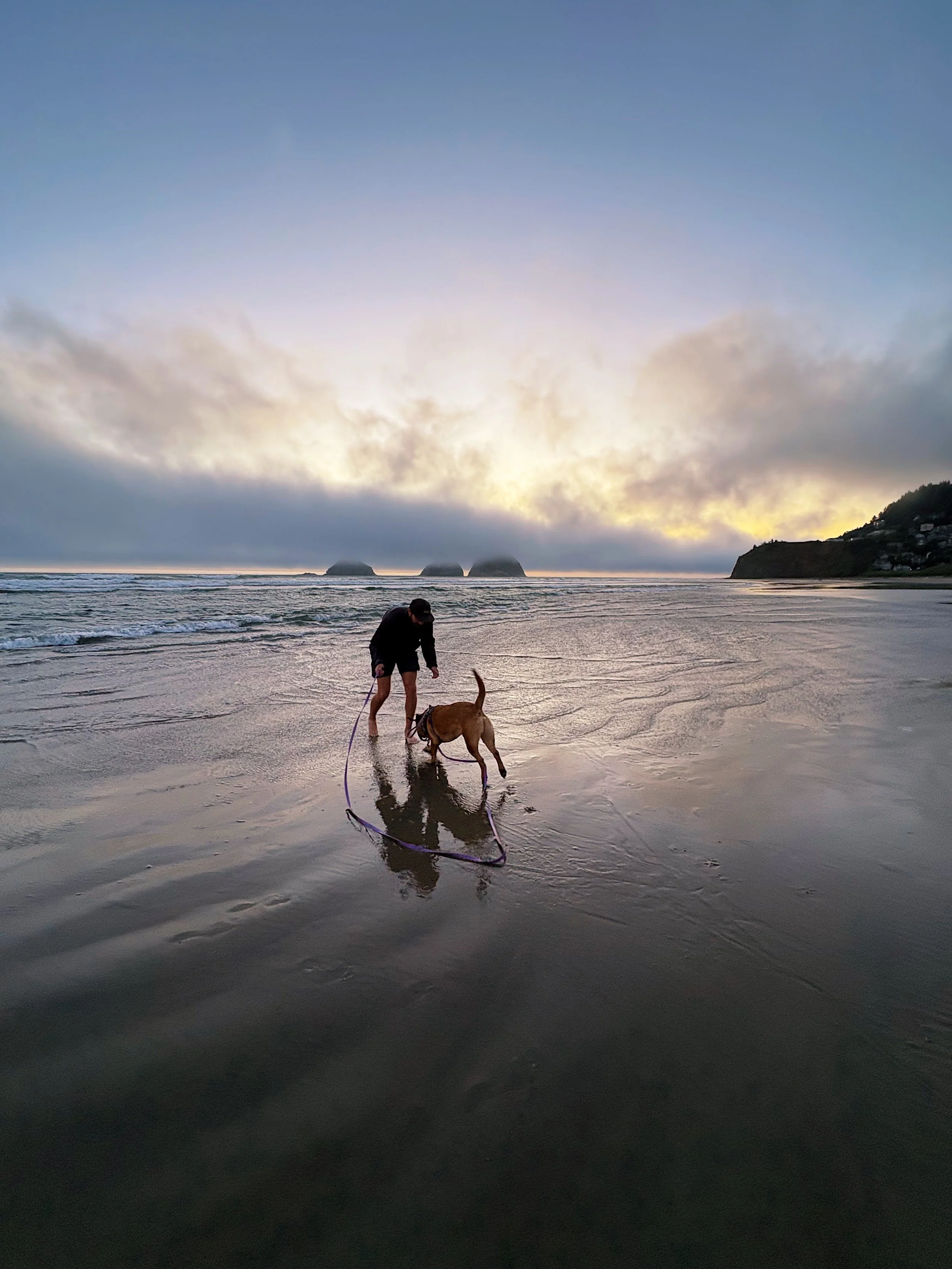 Man playing with a trained dog on a long-line leash at a Pacific Northwest beach during sunset.