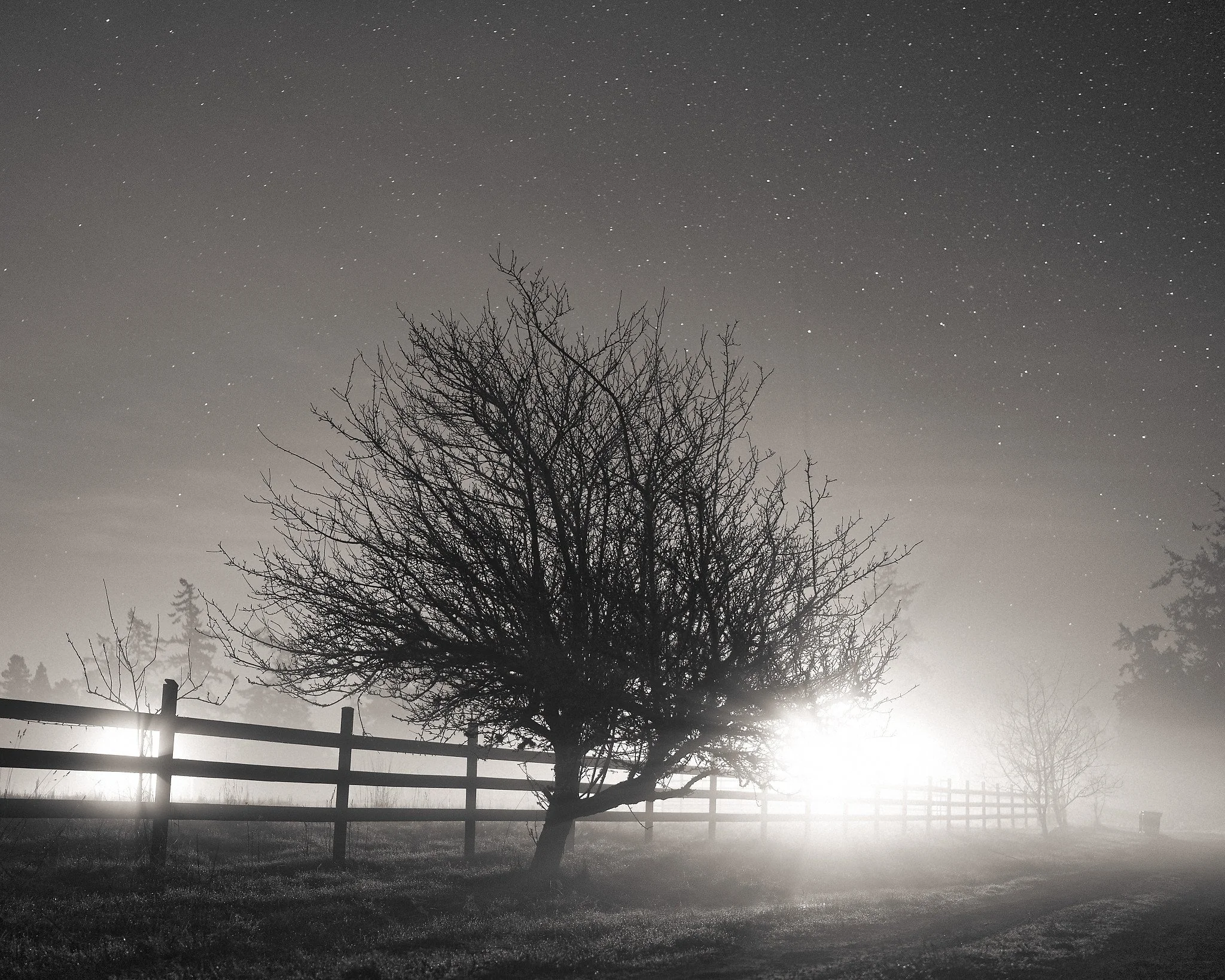 DSCF6722SQ Fog 5x4.jpg