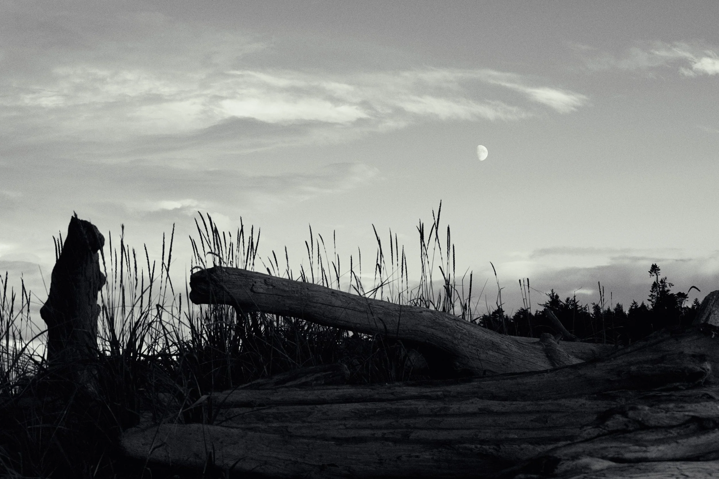 Beach Moon  UNG SQSP.jpeg