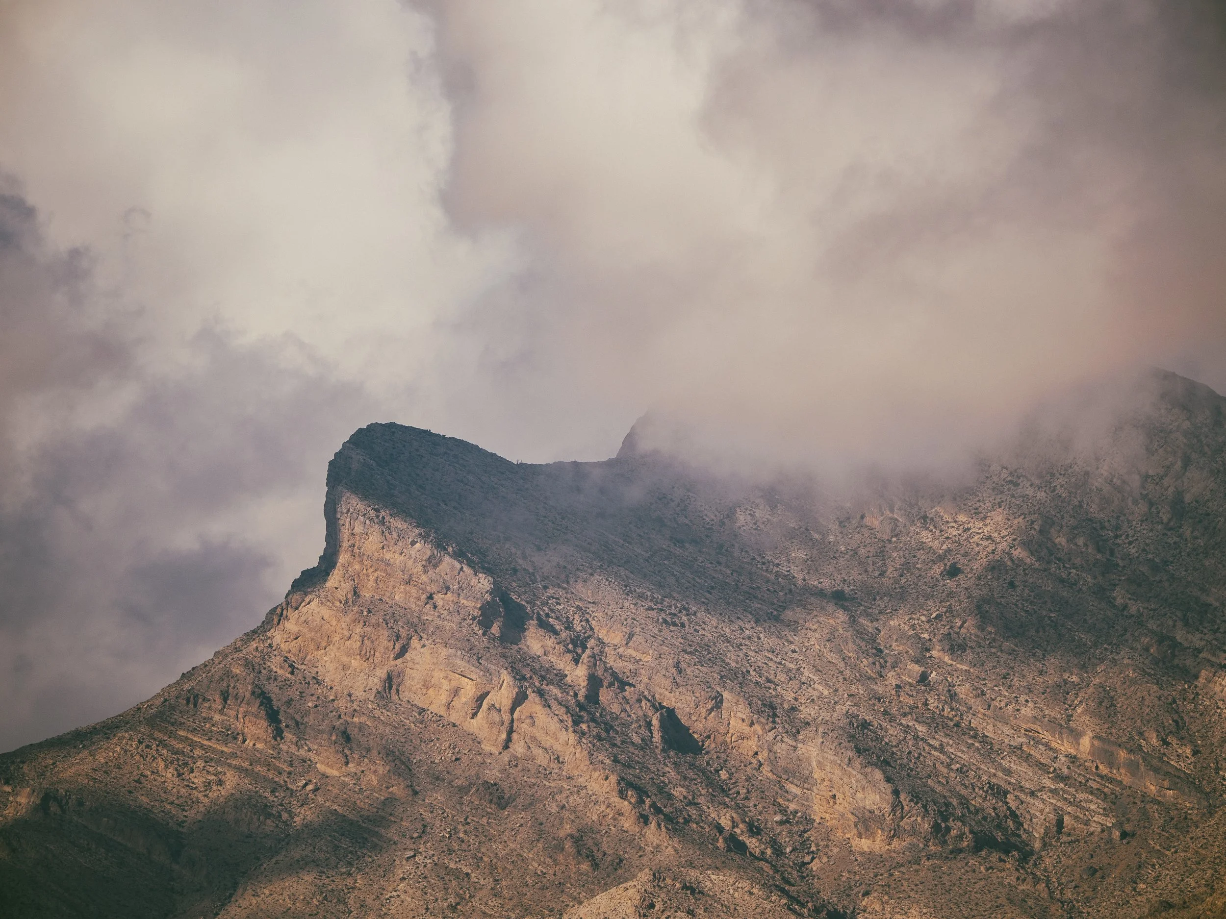 200mm | f/4.5 | 1/1600s | ISO 100