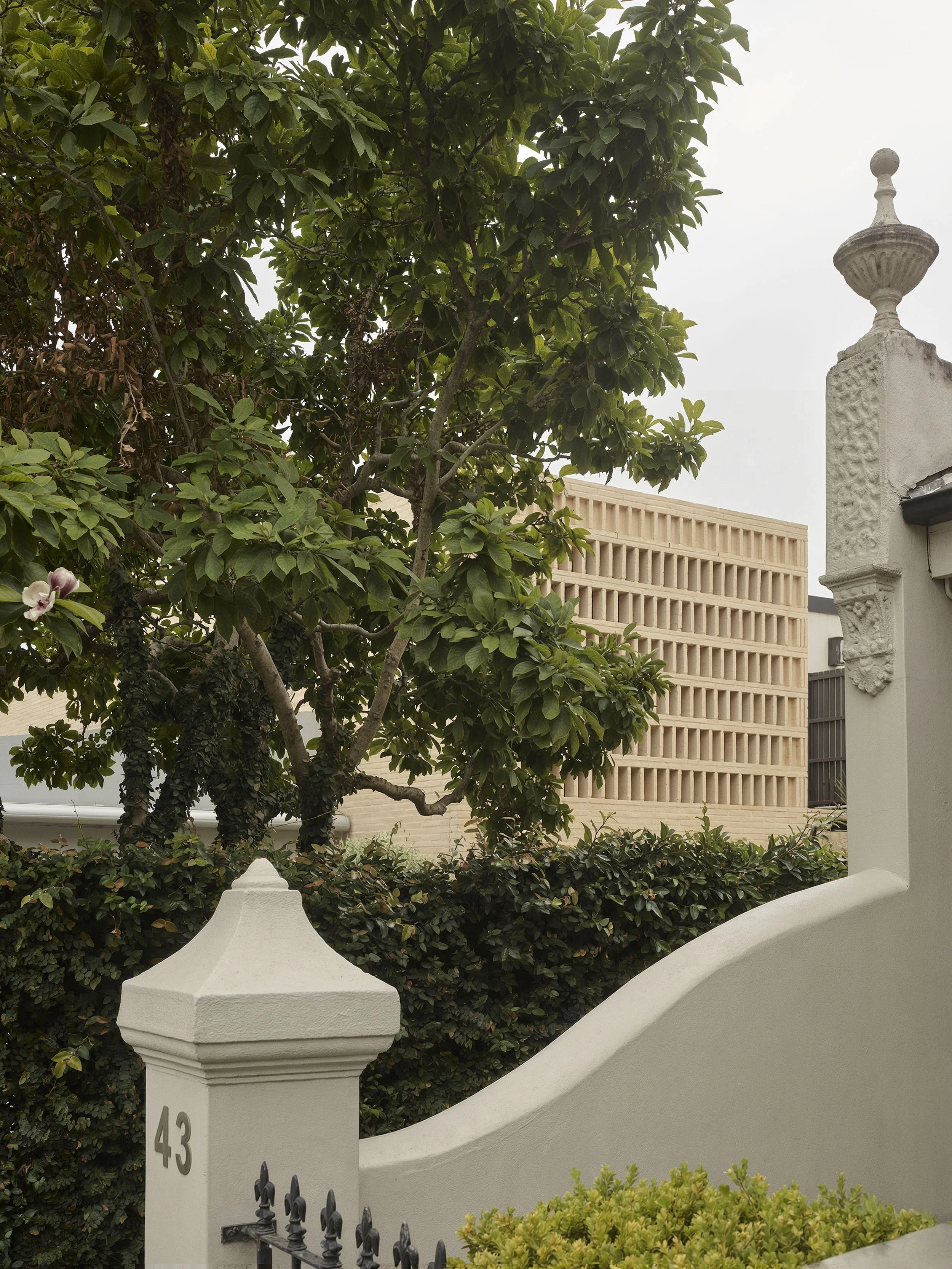 The rear elevation seen peeking out of the woollahra heritage conservation area context in the Clay House Sydney terrace renovation by Muci architects.
