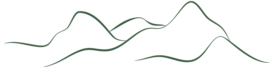 Line graph showing fluctuating peaks and valleys over a series of points.