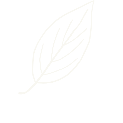 Mount Lofty Chiropractic In Stirling SA