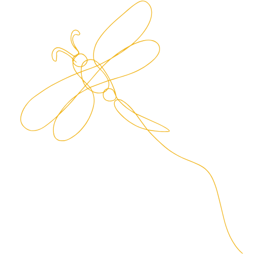 Dragonfly drawing in Adelaide Hills SA