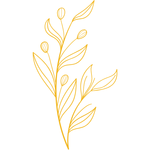 Beautiful Botanicals of Mount Lofty SA