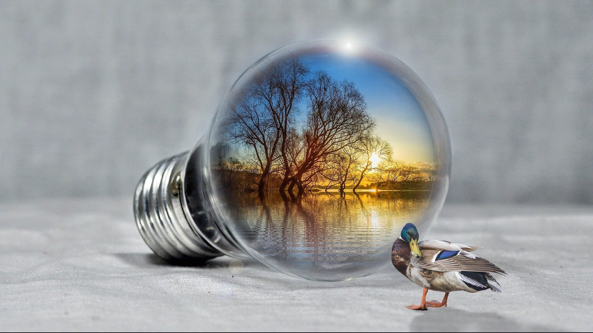 Opinion: A Pandemic is Hardly the Time to Raise Utility Rates