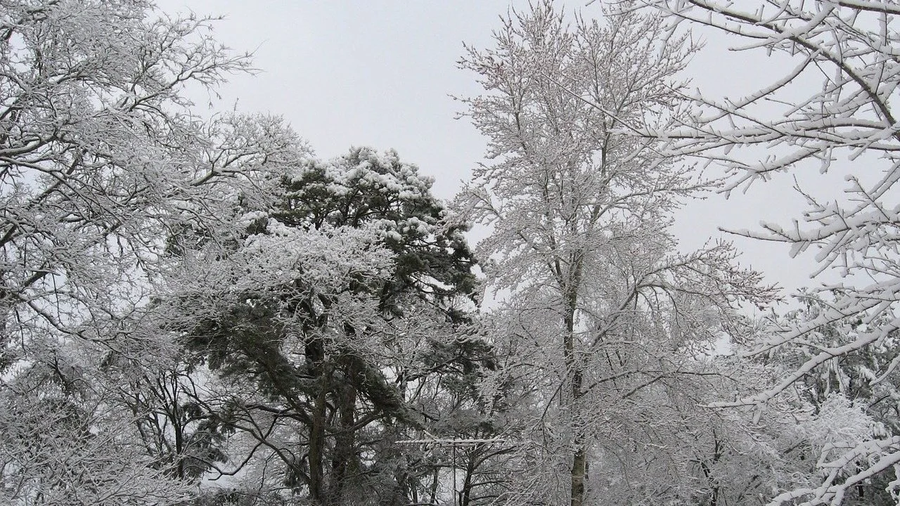 To the Editor: Texas - Deregulation, Climate Change to Blame, Not Green New Deal