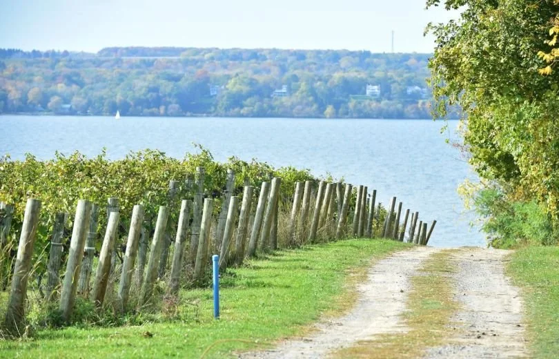 Don't Let Bitcoin Mining Ruin Seneca Lake