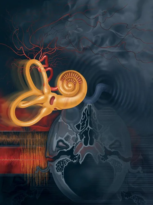 Editorial illustration on tinnitus showing inner ear anatomy