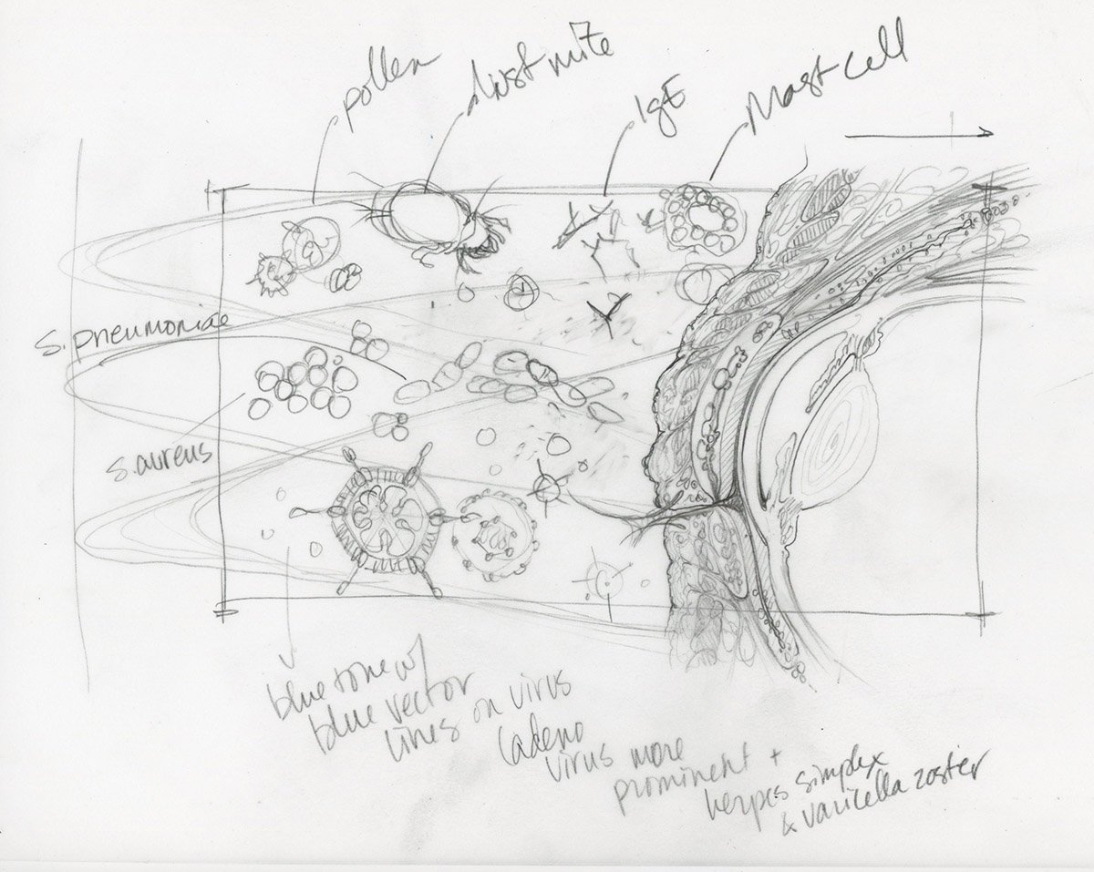 AFP02Rough.jpg