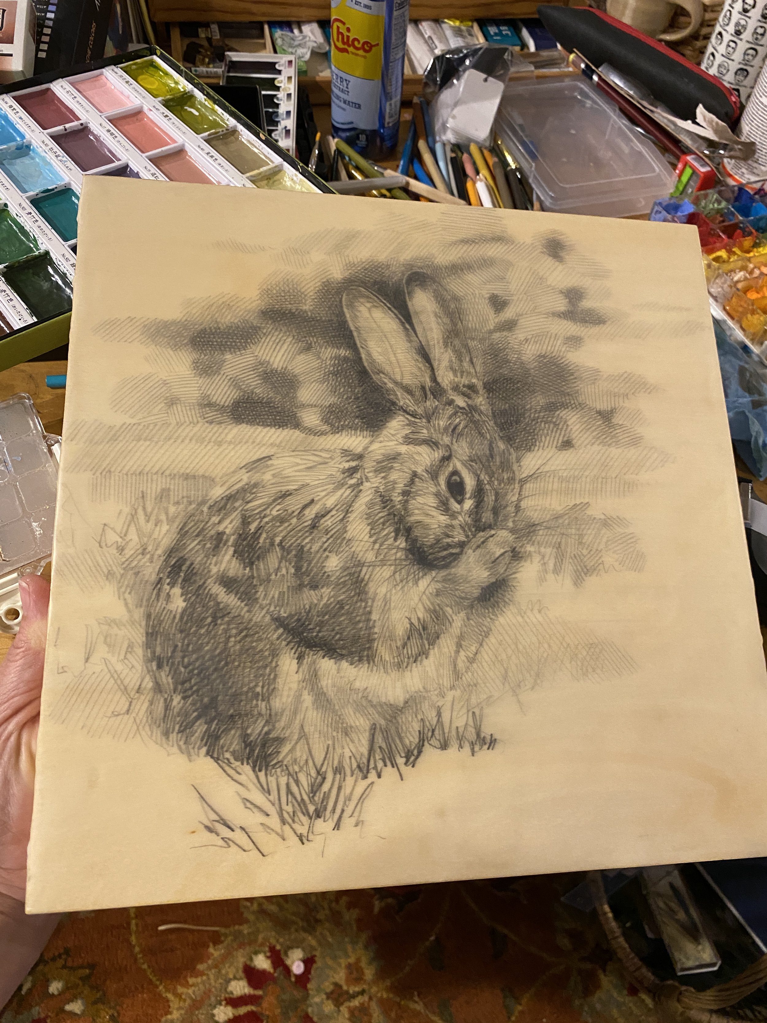 Rabbit05.JPG