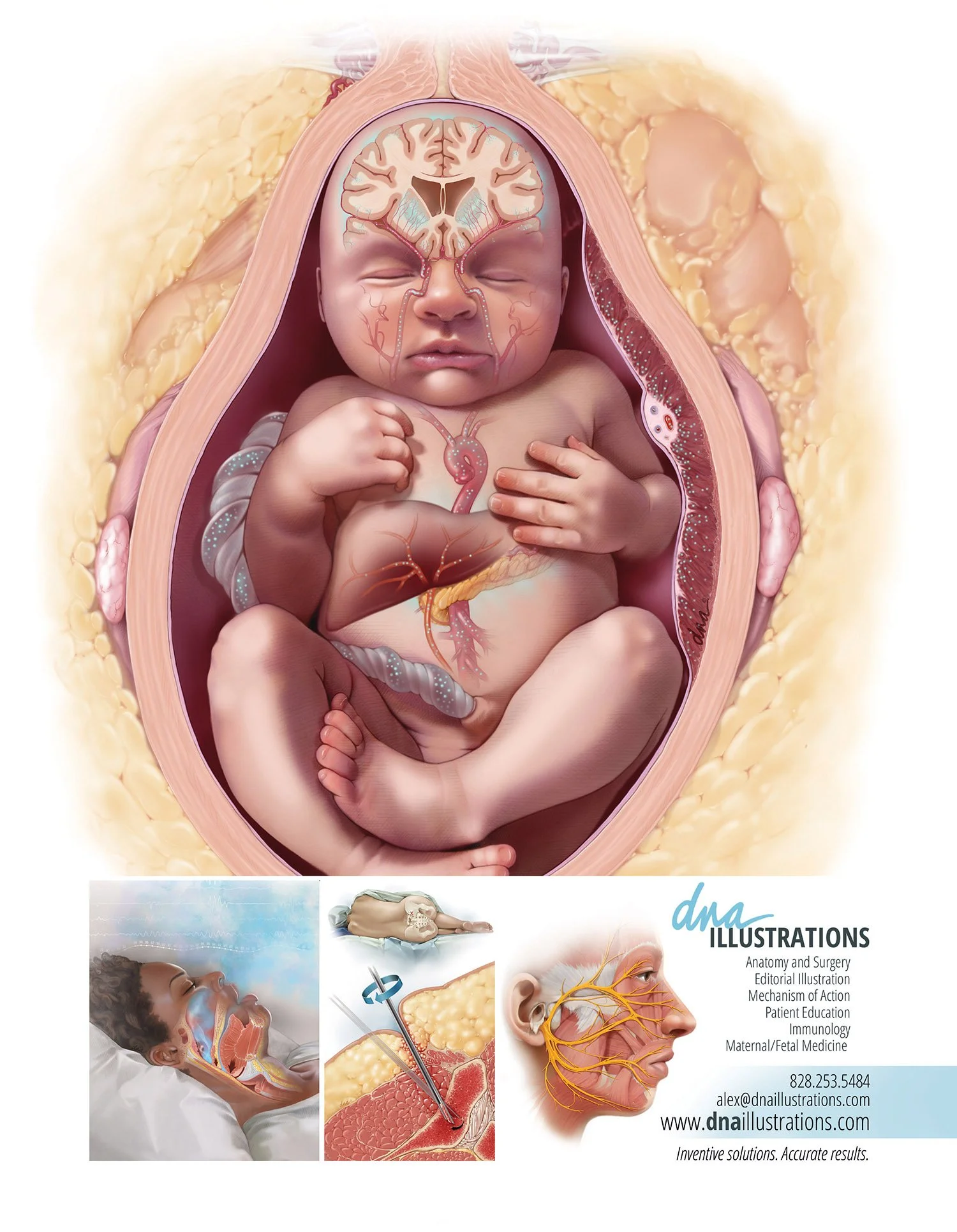 Serbin Medical Illustrations Sourcebook Page 2018