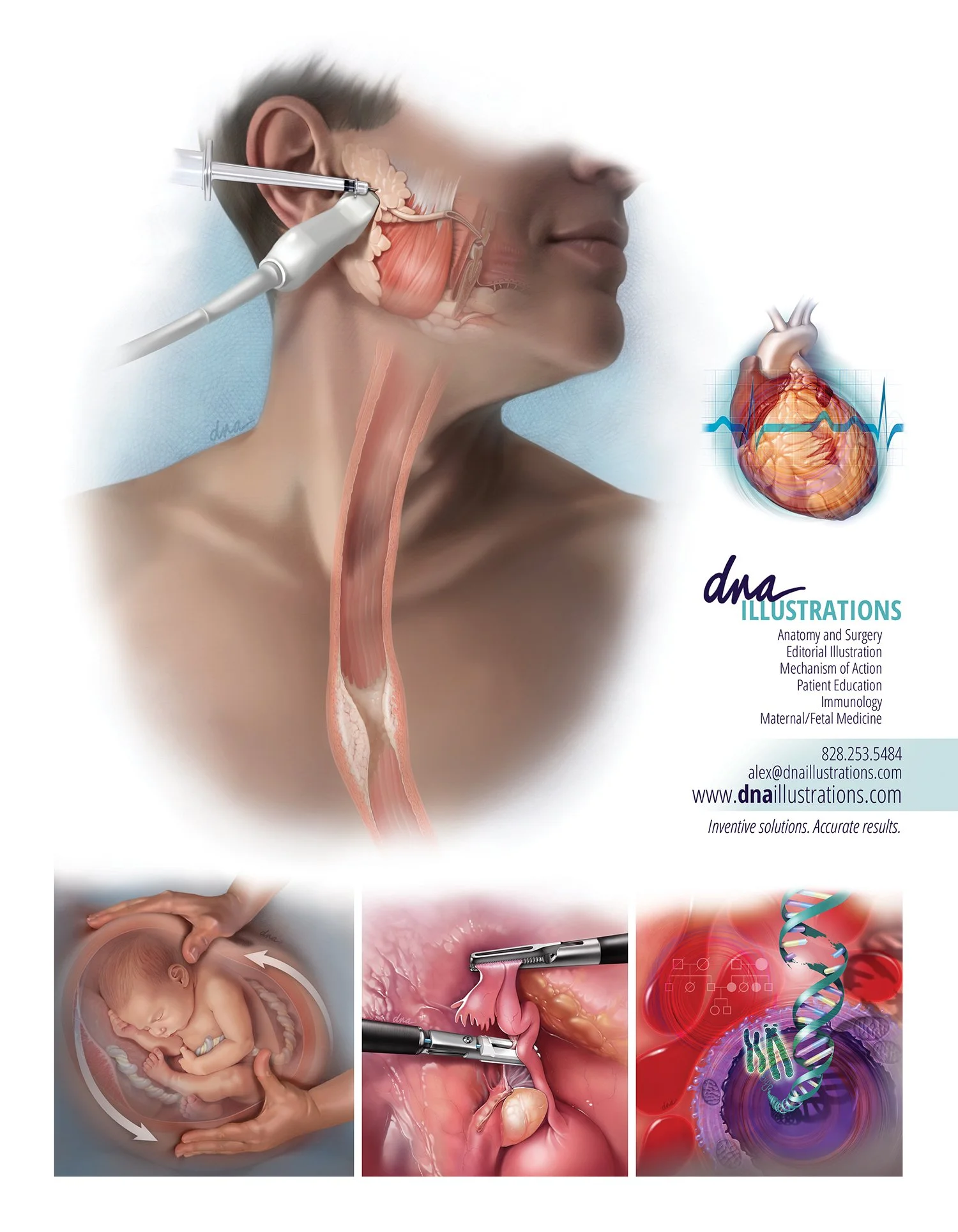 Serbin Medical Illustrations Sourcebook Page 2019