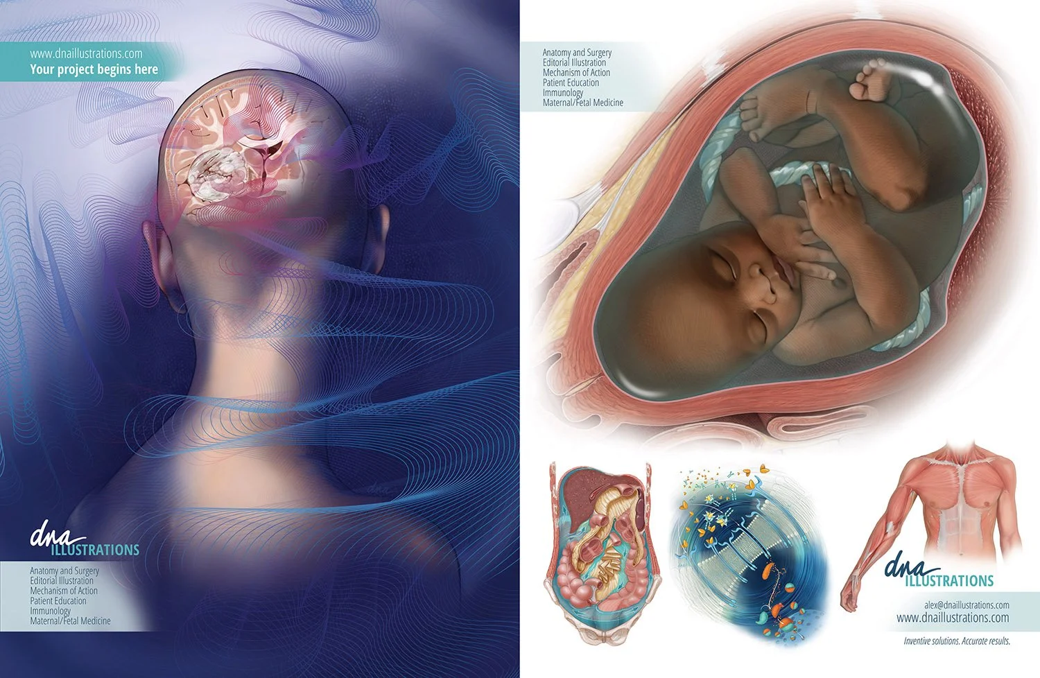 Serbin Medical Illustrations Sourcebook Page 2024