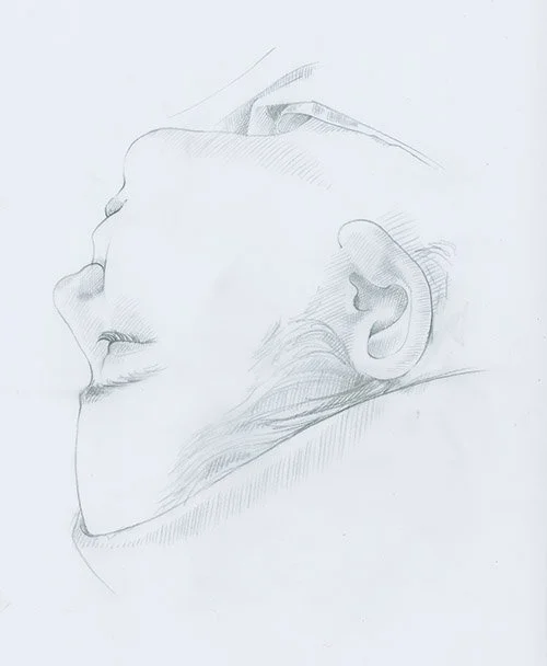 Base sketch for plastic surgery series