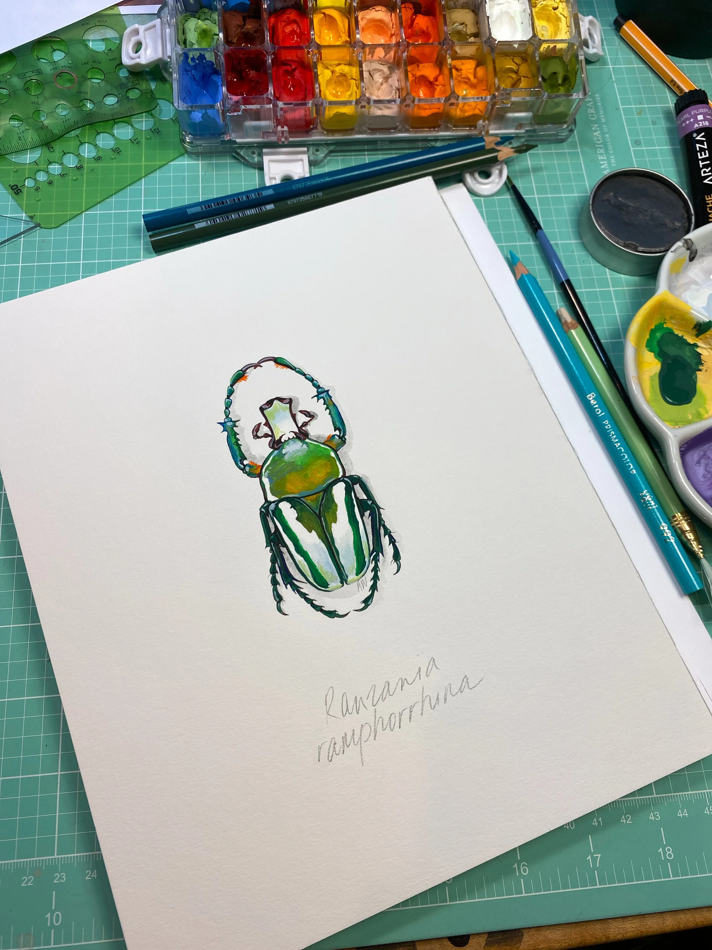 Photo of a painting in my studio. An image of a green and white beetle is sitting on a mint green cutting mat surrounded by pencils and paints