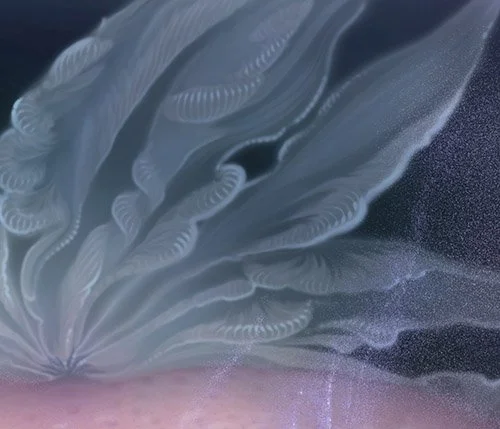 Close up of the end of a Fallopian tube