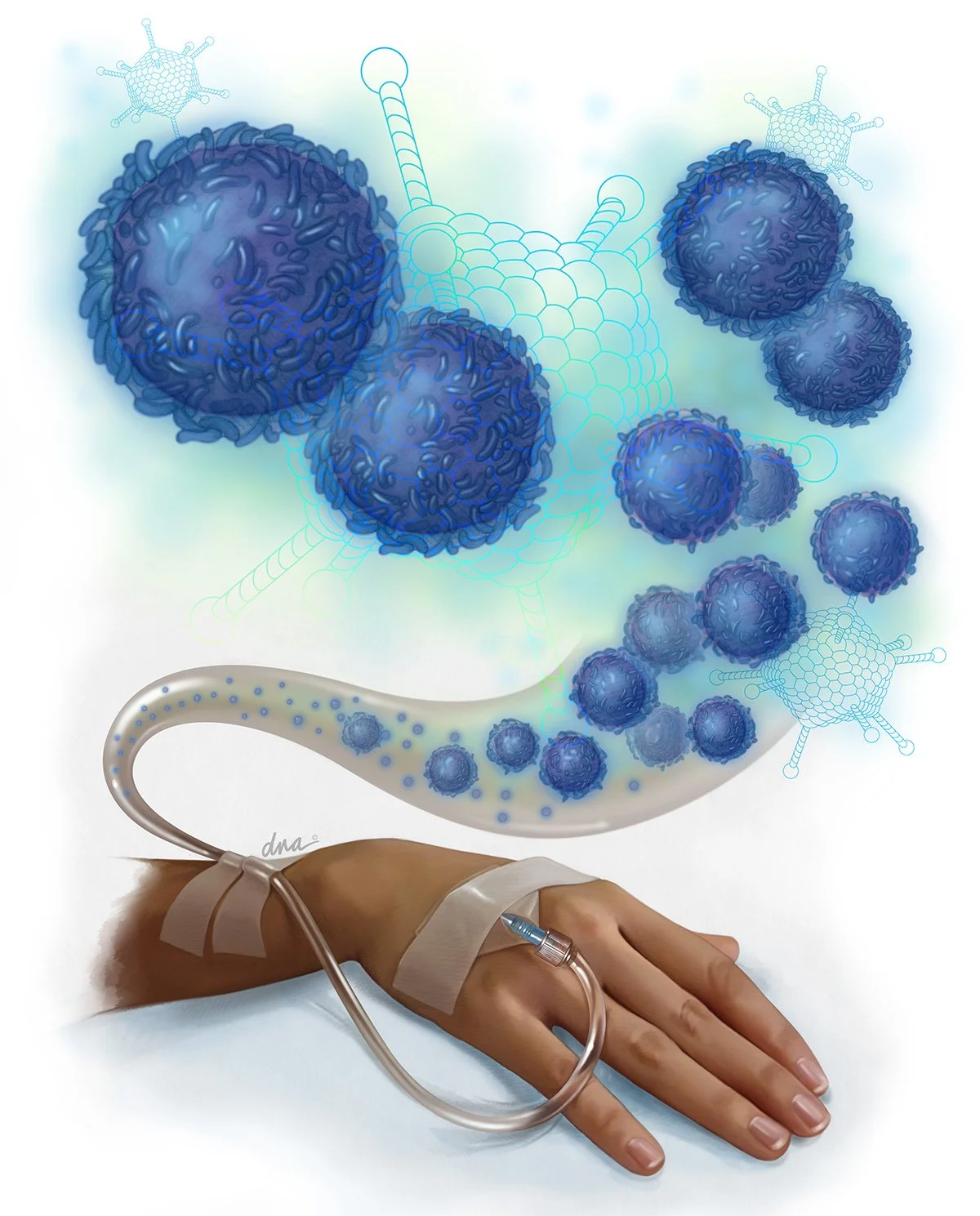 Virus Specific T cell Therapy