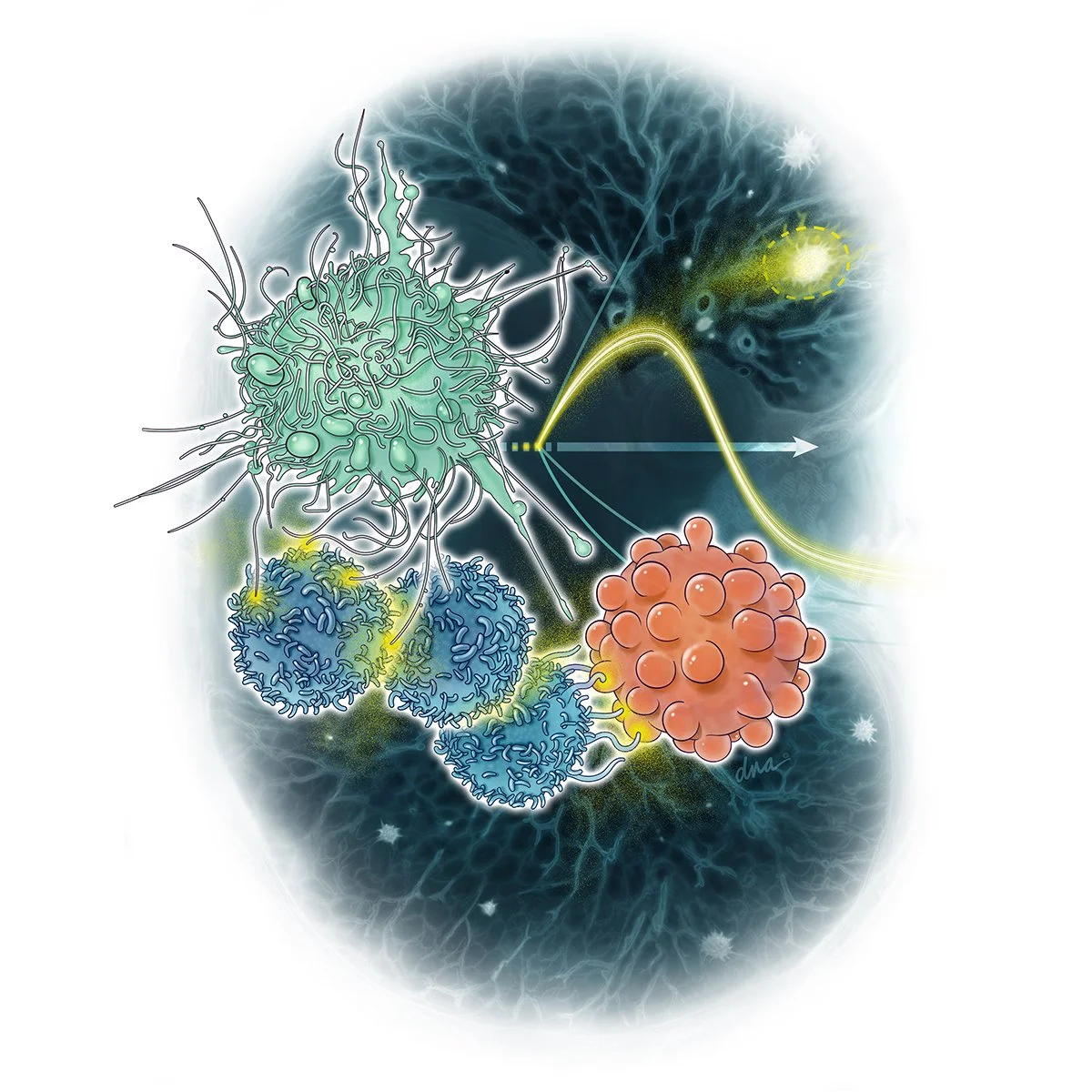 Tumor Pseudoprogression