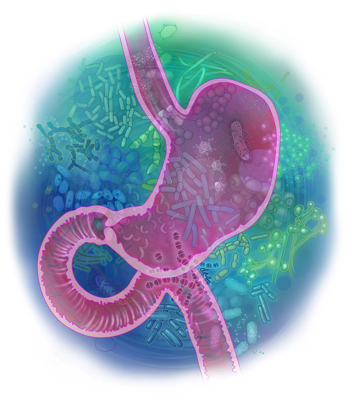 Gut Microbiome