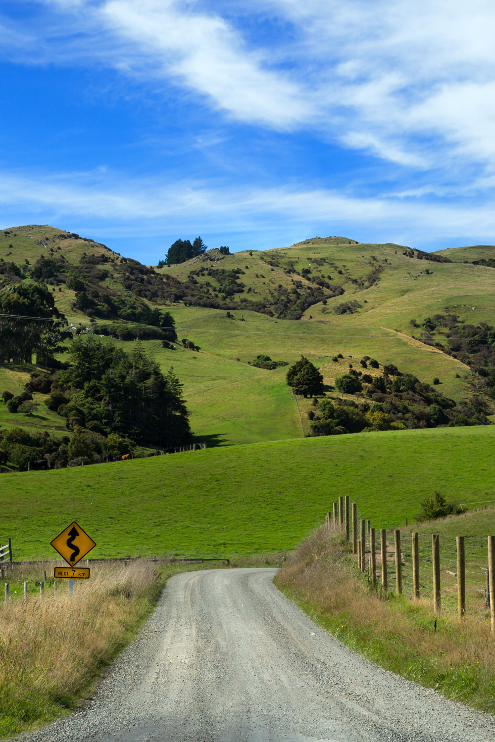 Dairy Farm in New Zealand