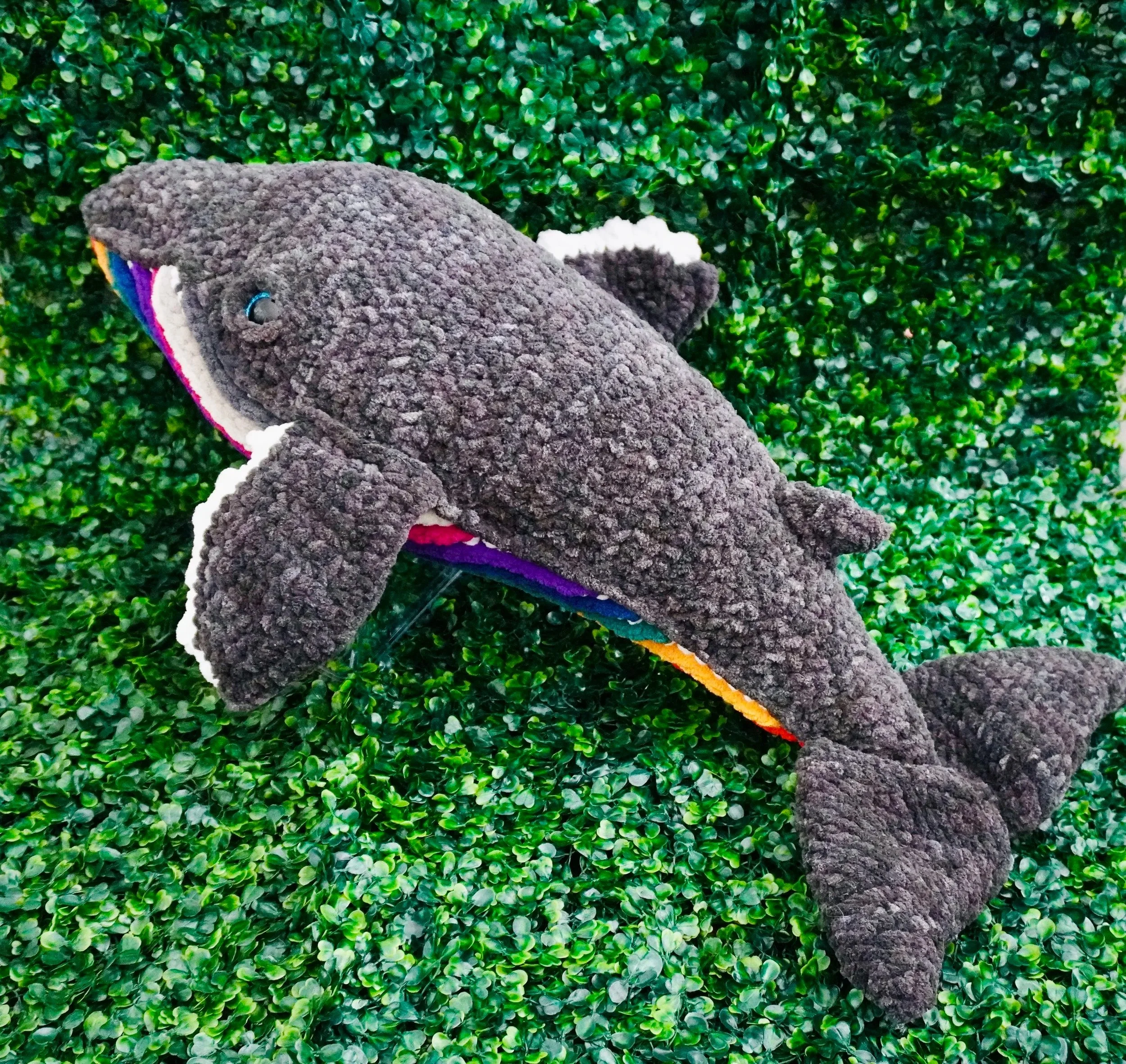 DSC00025.jpg
