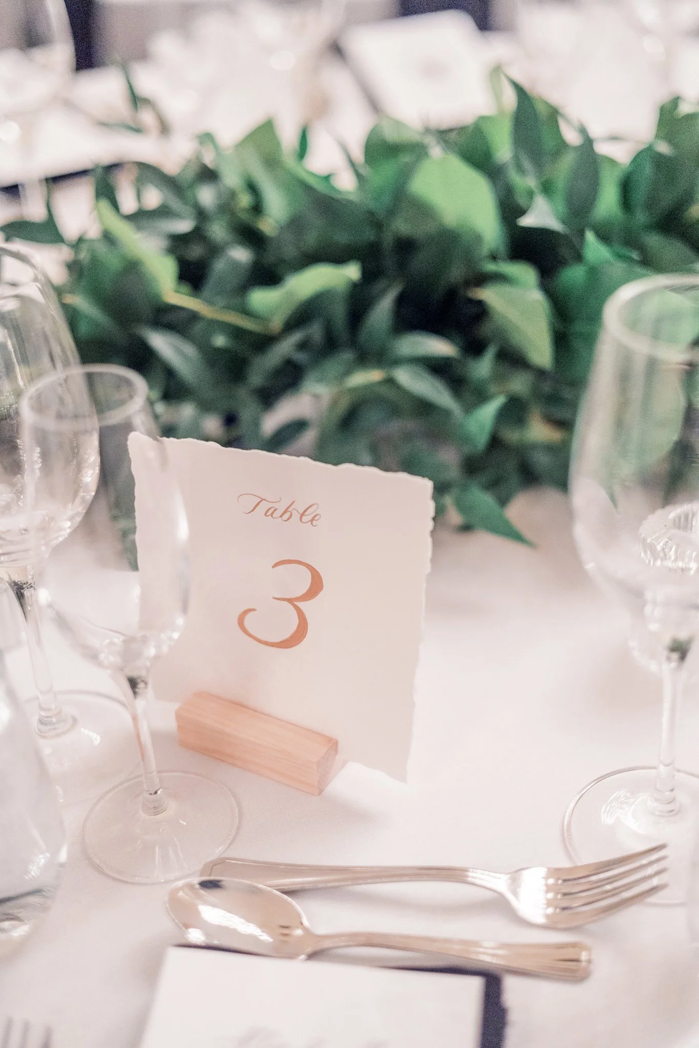 Allie and Alec Wedding 97.jpg